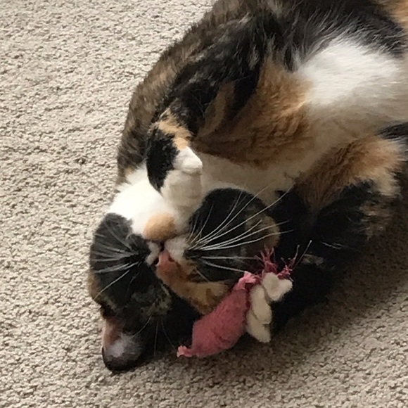 Meet your Posher, Mrs - Picture 2 of 2