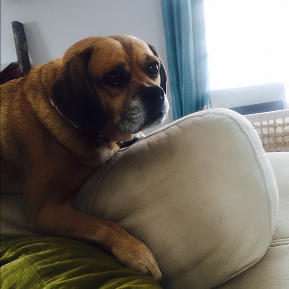 Meet your Posher, C - Picture 1 of 1