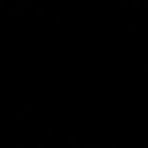 Meet your Posher, Barry