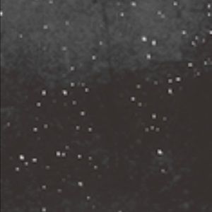 Meet your Posher, Kylee