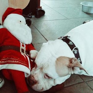 Meet your Posher, Alana