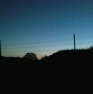 Meet your Posher, Marie