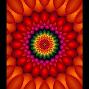 Meet your Posher, Donna