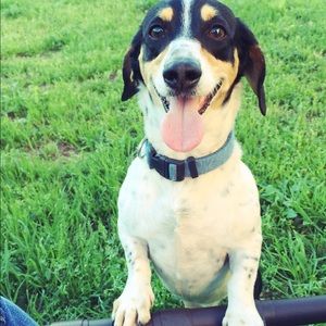 Meet your Posher, Grace