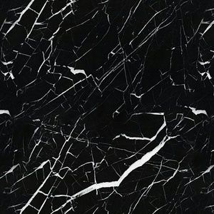 Meet your Posher, Jackson