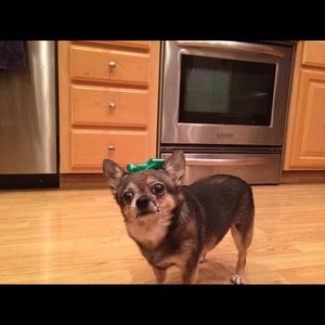 Meet your Posher, Michelle