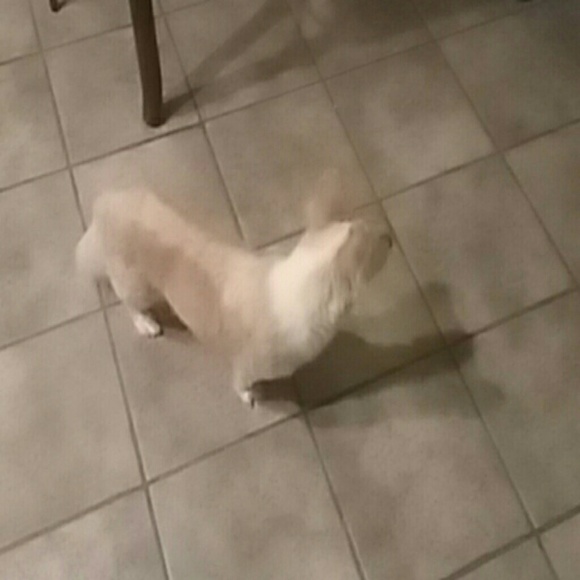 Meet your Posher, Marinela