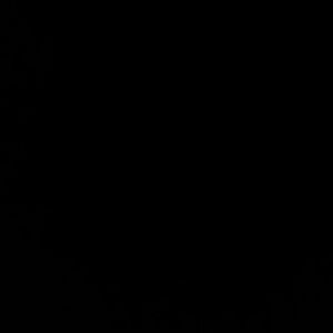 Meet your Posher, Ernest