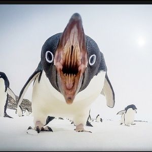 Meet your Posher, Marty