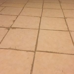 Meet your Posher, Elva