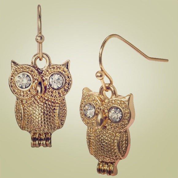 J Crew Gold Stone Eye Hook Earrings NWOT
