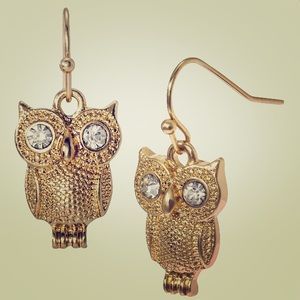 J Crew Gold Stone Eye Hook Earrings NWOT