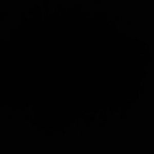 Meet your Posher, Mya