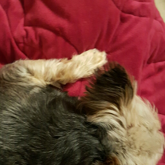 Meet your Posher, Saballa