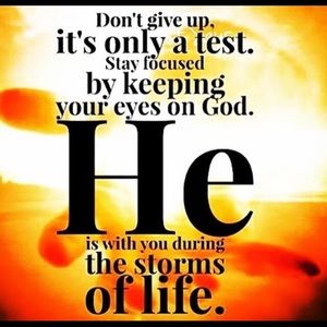 Meet your Posher, Kelley