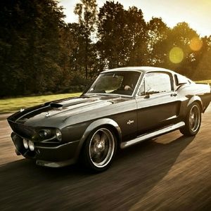 Meet your Posher, Daisy