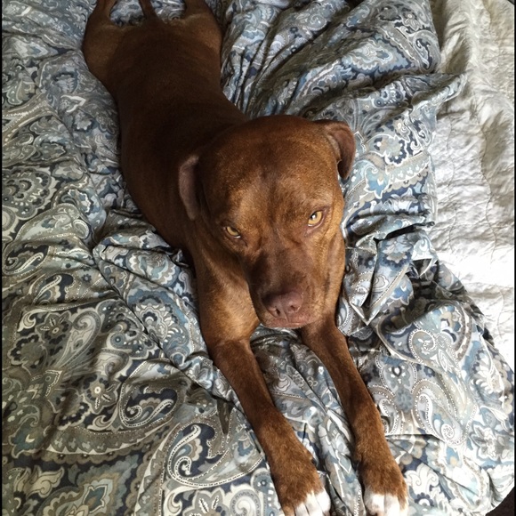 Meet Your Posher! - Picture 3 of 4