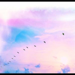 Meet your Posher, Amaiya