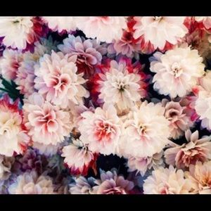 Meet your Posher, Lisette