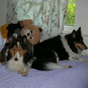 Meet your Posher, Tina