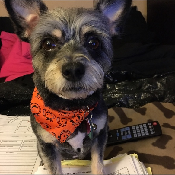 Meet your Posher, Jackie