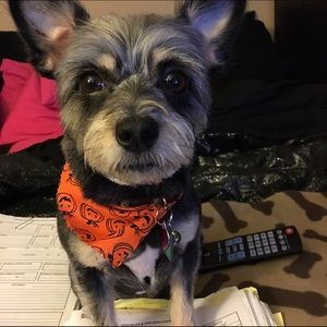 Meet your Posher, Jackie