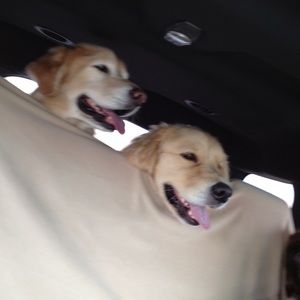 Meet your Posher, Jess