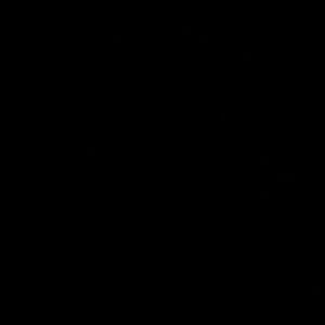 Meet your Posher, Ericka