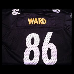 Hines Ward Jersey