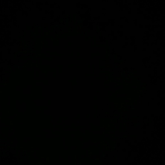 Meet your Posher, Raven