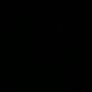 Meet your Posher, Raven