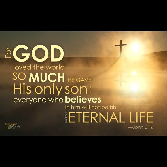 Meet Your Posher☺️ - Picture 4 of 4