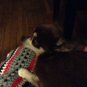 Meet your Posher, Patty