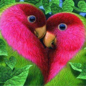 Meet your Posher, Sharon an ed