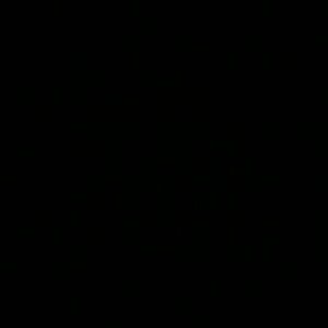 Meet your Posher, Roslyn