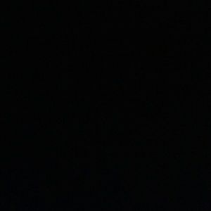 Meet your Posher, Darlyn