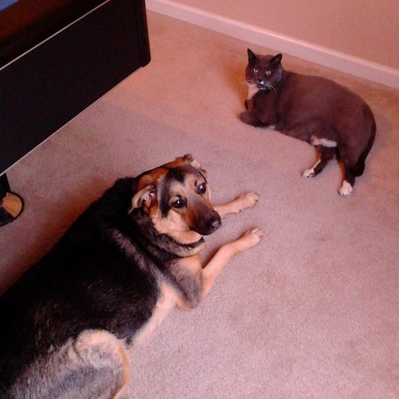 Meet your Posher, Denise - Picture 1 of 1