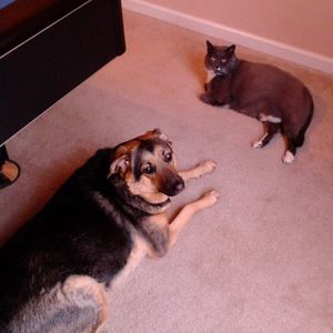 Meet your Posher, Denise