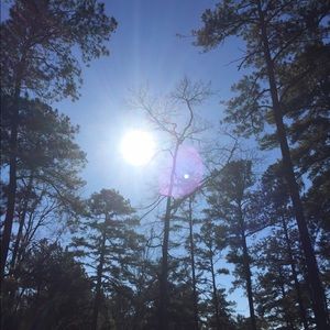 Meet your Posher, Lindsay