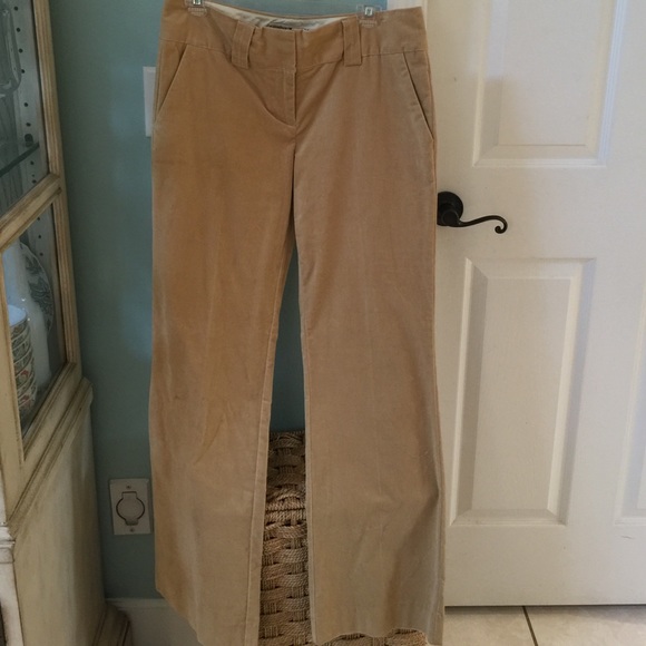Velvet slacks