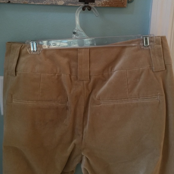 Velvet slacks - Picture 3 of 3