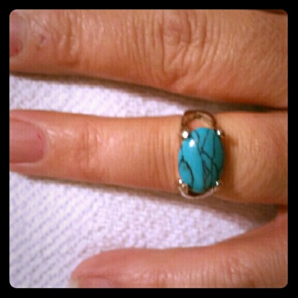 Silver Blue Howlite Stone