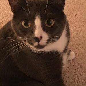 Meet your Posher, Sherry