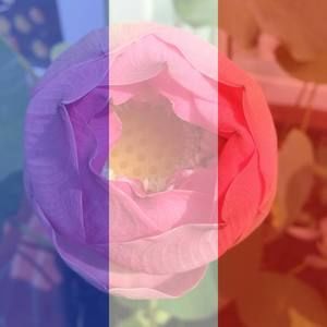 Meet your Posher, Anh