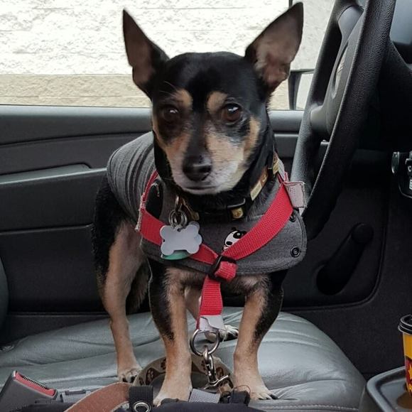 Meet your Posher, Gloria - Picture 1 of 1