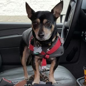 Meet your Posher, Gloria