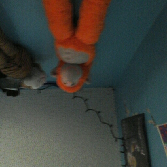 Meet your Posher, Ale