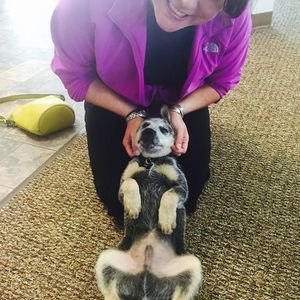 Meet your Posher, Stephanie