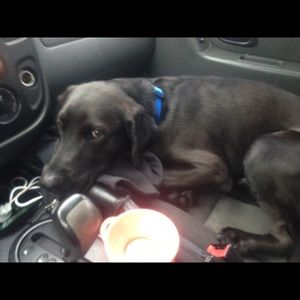 Meet your Posher, Jamie