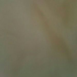 Meet your Posher, Jontavious